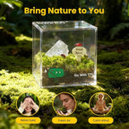 DIY Moss Terrarium Kit, 4 * 4 * 4 inch Acrylic Cube Mini Garden with Live Star Moss, Soil, Endless Love-Craft Kit for Adults and Teens, Relaxing Desk Decor & Unique Gift for Home or Office