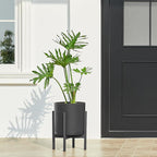 FaithLand 8-Inch Modern Cylinder Planter, Thick-Walled Plastic Plant Pot with Drainage Holes and Detachable Saucer, Matte Black, Ideal for Indoor & Outdoor Plants Flowers