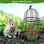 10 Pack Plant Protectors from Animals, Garden Cloches for Plants, Rustproof Chicken Wire Cloche Plant Cages to Keep Animals Out, Sturdy Metal Garden Cages for Outdoor Plants 13" D x 20" H