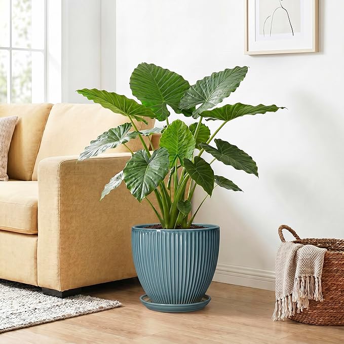 10 Inch Plant Pot, Ceramic Flower Pots with Drainage Hole and Saucer, Round Modern Planters for Indoor Plants, Decorative Plant Pots, Home Patio Decor, Plant Lover Gifts, Glaze Blue