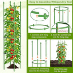 Fabulas Tomato Cage, 59 Inch Adjustable Tomato Plant Support Cages for Garden and Pots, Steel Core Plastic Coated Trellis for Raised Bed Climbing Plants Cucumber Beans Vegetable Flower Fruit, 3 Pack
