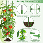 Fabulas Tomato Cage, 59 Inch Adjustable Tomato Plant Support Cages for Garden and Pots, Steel Core Plastic Coated Trellis for Raised Bed Climbing Plants Cucumber Beans Vegetable Flower Fruit, 3 Pack