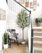 6FT Artificial Olive Tree - Indoor Tall Faux Olive Trees with Planter&Basket, Large Fake Olive Silk Tree Realistic Olive Plants with Branches and Fruits for Home Decor Office Living Room