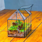 NCYP Glass Terrarium Planter with Lid for Small Succulent Plants, Grid House Shape Black Geometric Terrarium Pot, Home Garden Indoor Tabletop Decor, 9.84" x 5.31" x 7.87" (No Plants)