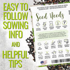Seed Needs Rosemary & Sage Seeds for Planting Fresh Kitchen Herbs - Non-GMO Heirloom & Untreated Perennial Herb Seed to Plant a Culinary Garden Indoors or Outdoors (2 Pack Duo)