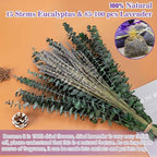 115 PCS Mixed Dried Eucalyptus Stems with Lavender Flowers Bundle for Shower, 17'' Natural Eucalyptus Leaves Branches Hanging Shower Plant for SPA Home Fragrance Bathroom Table Vase Decor