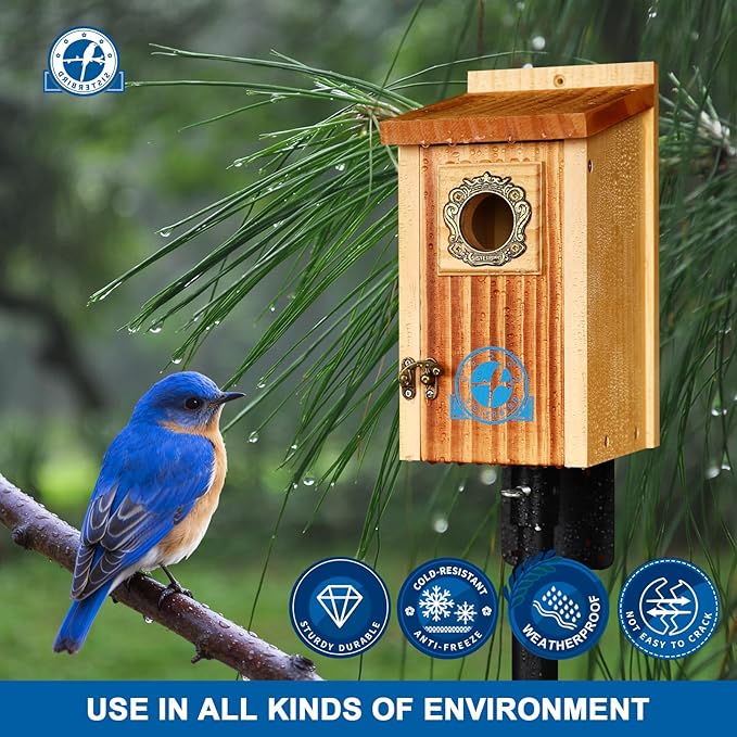 SISTERBIRD Preminum Bluebird Houses for Outside, Wooden Bluebird House, Birdhouses for Outdoors Courtyard, Festival Bird Nesting, Assembly Bird Box, Bluebird House (Assembly Completed)