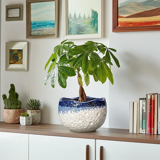 Ceramic Planter 8 Inch - Ceramic Plant Pots Indoor with Drainage Hole and Plug, Decorative Planters for Indoor Outdoor Plants, Modern Flower Pots, Patio Decor, Plant Lover Gifts, Beige-Blue
