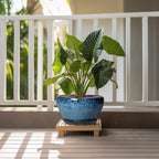 Ceramic Planter 11 Inch - Ceramic Pots for Plants Indoor Outdoor, Large Plant Pot with Drainage Hole and Saucer, Decorative Round Planter, Plant Lover Gifts, Garden Decor, Blue