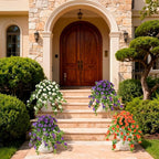Homsunny Artificial Fake Flowers Plants for Outdoor Decoration, 2PCS Faux Petunias Silk Flower UV Resistant No Fade for Home Outside Garden Balcony Yard Porch Realistic Indoor Decor (Purple)