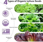 LYKOCLEAN Salad Romaine Lettuce Pods for AeroGarden, Ahopegarden, iDOO Hydroponics Growing System, 350 Seeds+ Including American Fast Lettuce, Paris Island Cos Lettuce, Buttercrunch Lettuce(7-Pods)
