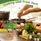 5 Herb Indoor Garden Kit- Unique Chrismas Herb Gardening Gift, Home Kitchen Gift for Mom, Friends, and Gardeners, Basil, Parsley, Chives, Cilantro, Dill