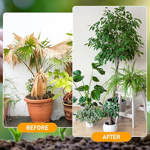 2Pcs Soil Activator, Soil Pro Activator,Organic Soil Activators and Plant Fertilizers,Liquid Fertilizer for Indoor & Outdoor Plants Premium Soil Activated Treasure for Potting Mix and Seedling Compost