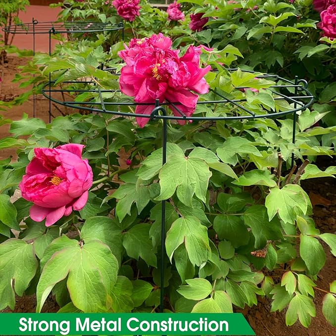 Sekcen 12 Pack 16 x 24 Inch Peony Support Cage Grow Through Plant Supports for Outdoor Plants Peony Ring Hoop Grow Through Grid Stakes