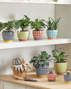 Metahom Ceramic Plant Pots, 4.9 Inch Flower Pots with Drainage Hole & Saucer, Colorful Planter Pots for Houseplants, Succulent, Catus, Home Decor, Set of 4, Vibrant Colors