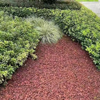 YISZM 5LB Succulent and Cactus Gravel Pebbles, 1/5 Inch Natural Decorative Polished Stones, River Rocks for Vases Gardening Indoor and Outdoor Decorative Rocks, Red