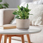 Speckle Gray Ceramic Plant Pots Set of 3, 4.3+5.5+6.7 Inch Indoor Flower Pot with Drainage Hole & Saucer & Hole Pads, Striped Decorative Planter Set for Indoor Plants, Gardening Pots & Accessories