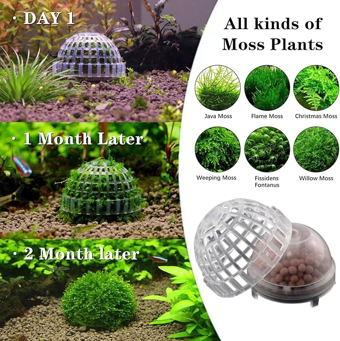 2 Pack Aquarium Moss Ball Holder Professional Plastic Moss Plant Holder with Hollow-Designed for Fish Tank Accessories