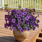 17 Inch Artificial Faux Pansy Flowers for Outdoor,Fake Pansies Flowers with Eucalyptus Leaves Fake Plants Greenery Boxwood Porch Patio Decor 6 Bundles(Dark Purple,Lotus Purple,Light Purple)