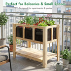 ketive Raised Garden Bed with Transparent Acrylic Side Panels, Elevated Wooden Planter Box with Shelf for Vegetables, Herbs & Flowers,Outdoor Raised Garden Planter for Patio, Balcony & Backyard