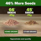 HOME GROWN San Marzano Tomato Seeds 66+ Heirloom Non-GMO Seeds for Planting, High Germination, Indeterminate, Classic Meaty Italian Paste Tomato, Best for Sauce & Canning (Solanum lycopersicum)