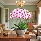 Htmeing 38 Inch Artificial Phalaenopsis Flowers Branches Real Touch (Not Silk) Orchids Flowers for Home Office Wedding Decoration,Pack of 2 (White Pink)