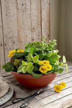 The HC Companies 20 Inch Large Garden Bowl Planter - Shallow Plant Pot with Drainage Plug for Indoor Outdoor Flowers, Herbs, Warm Gray (Pack of 5)