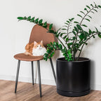 D'vine Dev 14 Inch Ceramic Planter Pot with Drainage Hole and Saucer, Indoor Cylinder Round Planter Pot, Black, 94-O-G-2