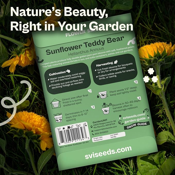 SVI 50 Teddy Bear Sunflower Seeds (Helianthus annuus) – Dwarf Teddy Bear Sunflower Seed Packets – Annual Cut Flower Seeds for Outdoor Garden & Indoor Garden, Containers, Patios, Flower Beds
