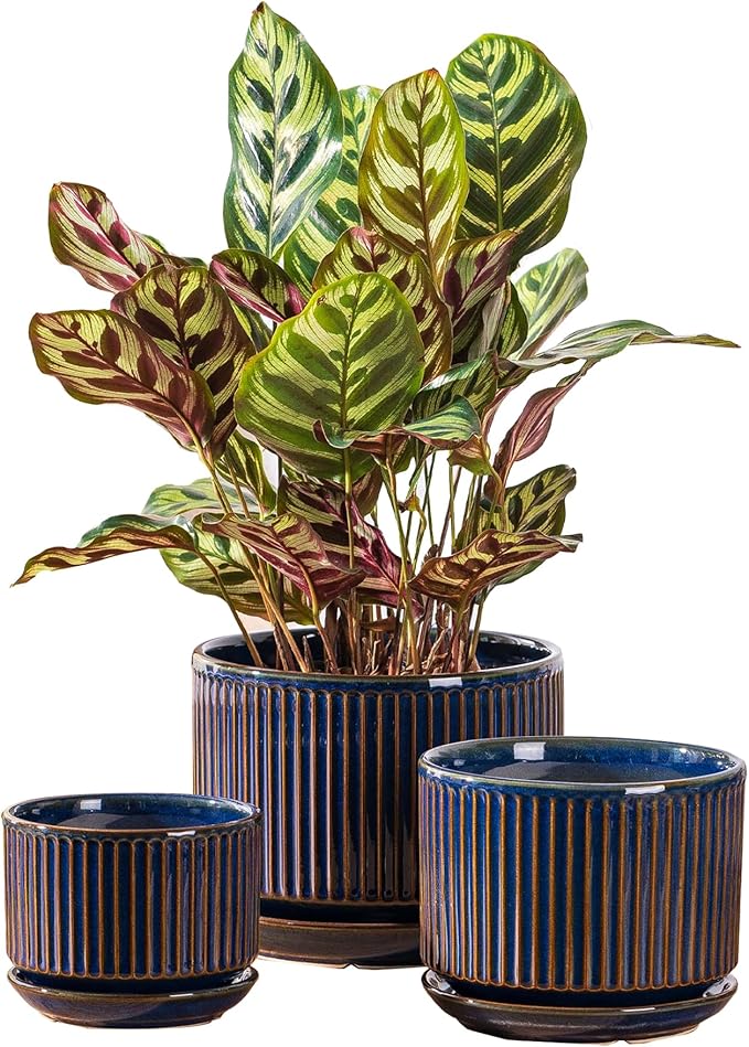 Navy Blue Ceramic Plant Pots Set of 3, 4.3+5.5+6.7 Inch Indoor Flower Pots with Drainage Hole & Saucer & Hole Mesh Pads, Striped Decorative Planter Set for Indoor Plants, Gardening Pots & Accessories