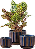Navy Blue Ceramic Plant Pots Set of 3, 4.3+5.5+6.7 Inch Indoor Flower Pots with Drainage Hole & Saucer & Hole Mesh Pads, Striped Decorative Planter Set for Indoor Plants, Gardening Pots & Accessories