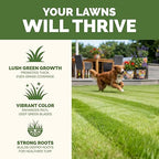 Pet Safe Lawn Fertilizer – Liquid Lawn Food for Greener Grass, Stronger Root Development & Safer Family Lawn Care, 8 oz