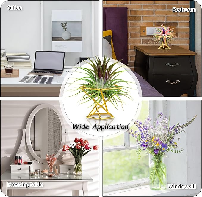 Funrous 12 Pcs Air Plant Holders Geometric Gold Airplants Rack Metal Geometric Decor Classic Modern Air Fern Plant Stands Mini Golden Planters Tillandsia Pot Containers for Office Home Wedding