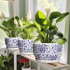 SQOWL Ceramic Pots for Plants - 10 Inch Ceramic Flower Pots with Drainage Hole and Saucer, Round Large Planter Indoor, Decorative Porcelain Planter Outdoor, Home Decor, Birthday Gifts, Blue and White