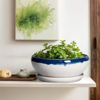 SQOWL Bonsai Tree Pots - 12 Inch Ceramic Succulent Planters, Large Bonsai Pot with Drainage Hole and Tray, Shallow Planter Indoor Outdoor, Bowl Round Planter, Home Decor, Plant Lover Gift, Blue-Beige