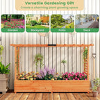 MAT EXPERT Raised Garden Bed with Trellis & Hanging Roof, Lattice Panel with Drainage Hole for Flower, Climbing Plant, Herb, Planter Box for Garden, Patio, Yard (2, 77" x 17" x 45" (L x W x H))