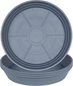 Plant Saucer 6 Inch 4 Pack 6 8 10 12 14 16 18 20 25, Plastic Plant Trays for Pots，Extra-Deep Plant Water Dray Tray, Bird Bath Bowl, Heavy Flower Plant saucers Indoors and Outdoor No Holes 6in-4 grey