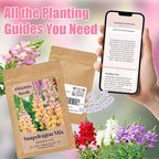 430,000+ Snapdragon Seeds for Planting - 1.4oz Bulk Pack 5-Color Mixed Snapdragon Flower Seeds (Antirrhinum majus) for Garden Beds, Borders, Pots & Cut Flower Displays, Instructions Included