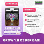All-in-One Mushroom Grow Kit (6-Pack) – 3lb Mini Bags with Sterilized Grain and CVG Substrate, Injection Ports Included, for Growing Mushrooms at Home (Spores Not Included)