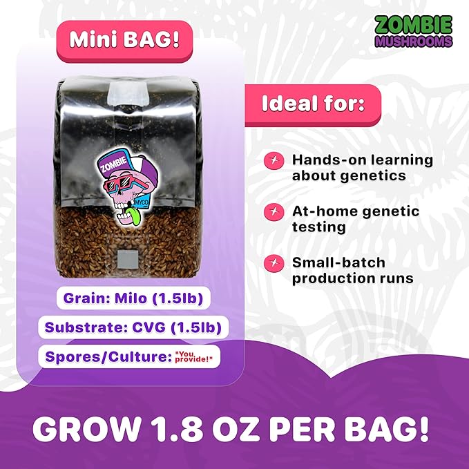 All-in-One Mushroom Grow Kit (1-Pack) – 3lb Mini Bags with Sterilized Grain and CVG Substrate, Injection Ports Included, for Growing Mushrooms at Home (Spores Not Included)