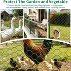 15.7 x 197in Plant Protectors from Animals – PVC Coated Green Chicken Wire Mesh Garden Barrier with 0.9mm Fine Mesh – Complete Cut-to-Size Cage Kit Includes Pliers, Gloves, Ties & U-Stakes