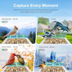 Smart Bird Feeder with Camera, AI Identify 16,000+ Birds, 5W Solar, 170° View, Motion Detection – Ideal Gift for Bird Lovers