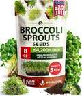 HOME GROWN Broccoli Seeds 8 oz Bulk Heirloom Non-GMO, High Germination, Sulforaphane Rich Sprouting Seeds, Nutritious Microgreens, Healthy Sprouts in 5 Days, Superfood Boost (Brassica oleracea)