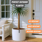 Fox & Fern Plant Pot, Large Plant Pots for Indoor & Outdoor, UV & Frost Resistant Plant Vase with Drainage Plug, Fiberstone, Large Indoor Pots for Plants & Flowers, House Indoor Plant Pot, Single Pot