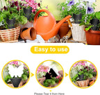 Fruit Fly Traps, 60 Pack Black Sticky Traps, Fungus Gnat Traps, Plant Fly Stickers for Indoor and Outdoor Use Protect The Plant