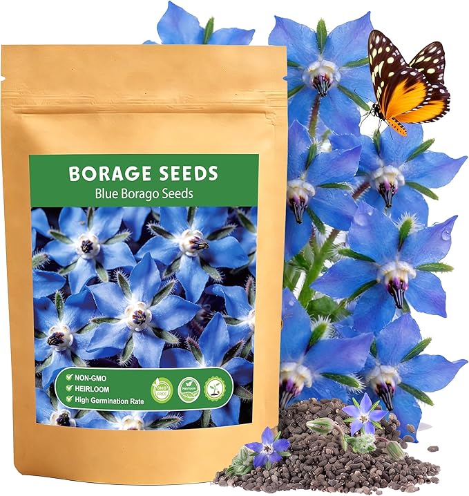 LUOJIBIE Borage Seeds, 4,000+ Blue Borage Seeds for Planting Outdoor & Indoor, Flower Seeds Bulk for Garden, Non-GMO & Heirloom, Easy to Grow