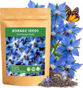 LUOJIBIE Borage Seeds, 4,000+ Blue Borage Seeds for Planting Outdoor & Indoor, Flower Seeds Bulk for Garden, Non-GMO & Heirloom, Easy to Grow