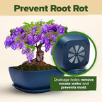 HOME GROWN Bonsai Tree Kit – 6 Heirloom Varieties with Unique Pots – DIY Bonsai Starter Kit for Adults & Beginners – Christmas Gift for Men Women Gardeners Plant Lovers – Indoor Growing Kit