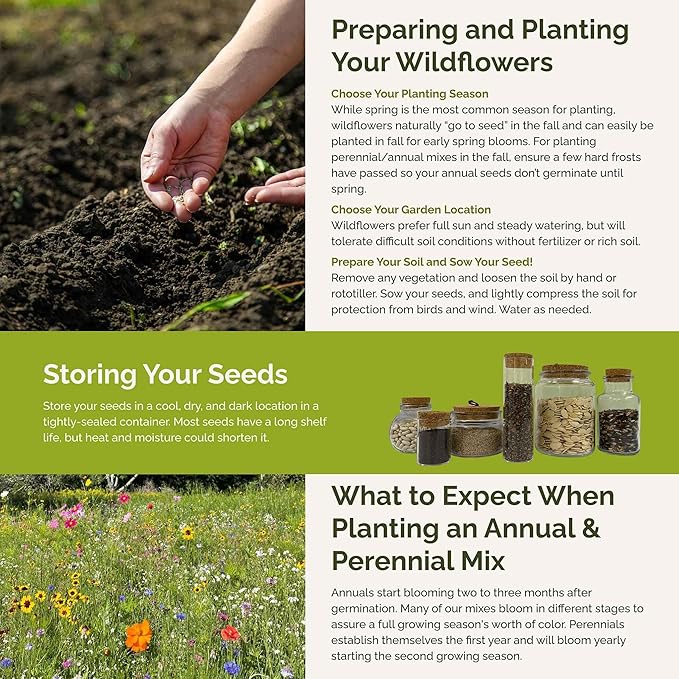 Eden Brothers Partial Shade Wildflower Mixed Seeds for Planting, 25 lb, 12,000,000+ Seeds with Sweet William, Foxglove | Attracts Pollinators, Plant in Spring or Fall, Zones 3, 4, 5, 6, 7, 8, 9, 10