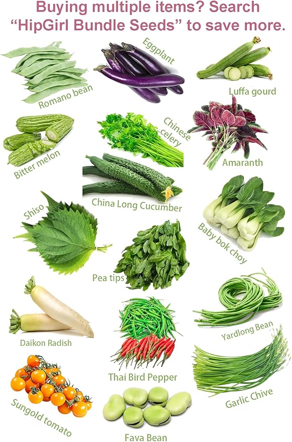 HipGirl Authentic Asian Gourmet Seed Bundle: Green Perilla Shiso (200ct) & Smooth Skin Bitter Melon (10-12ct) | Non-GMO Heirloom Seeds for Summer Gardening, Trellis, & Hydroponics
